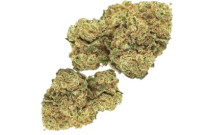 CBD "Strawberry Light"