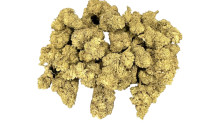 CBD "Northern Lights"