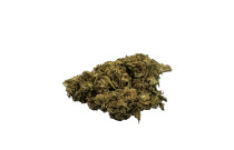 CBD ziedi